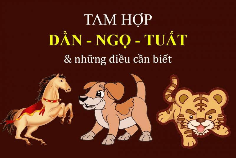 vòng tam hợp dần ngọ tuất