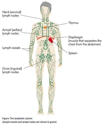 Bệnh U lympho là gì