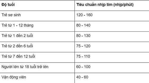 Nhịp tim chuẩn là bao nhiêu?