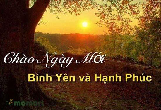 Ngày mới tốt lành với những câu chào ngày mới hay nhất