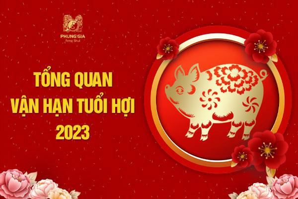 Tổng quan vận hạn tuổi Hợi 2023