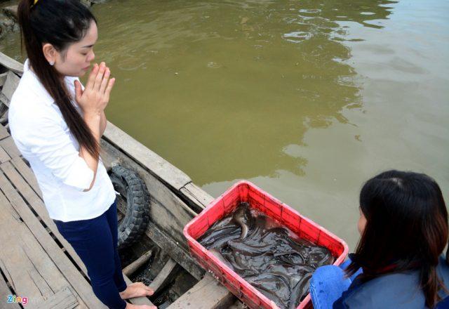 Chuyên cung cấp cá phóng sinh, các loại động vật, thủy sản phóng sinh