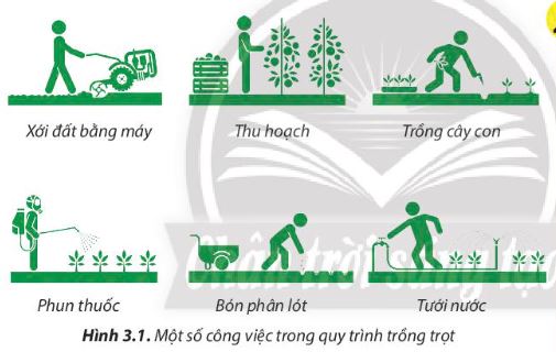 Lý thuyết quy trình trồng trọt - Công Nghệ 7</>